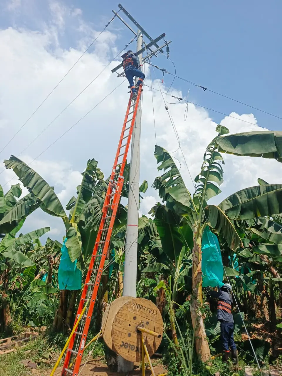 Instalación de redes eléctricas aéreas de media tensión con postes, crucetas y conductores ejecutada por SIEEC en Santa Marta, Magdalena